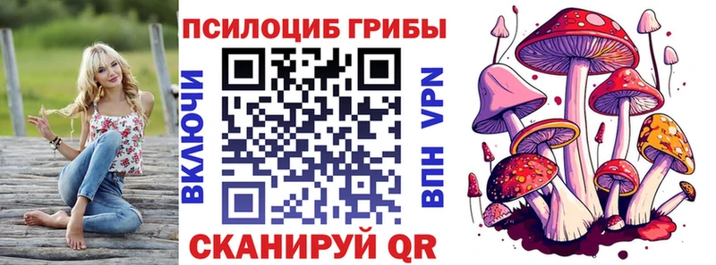 Галлюциногенные грибы ЛСД  даркнет состав  Свирск  купить  